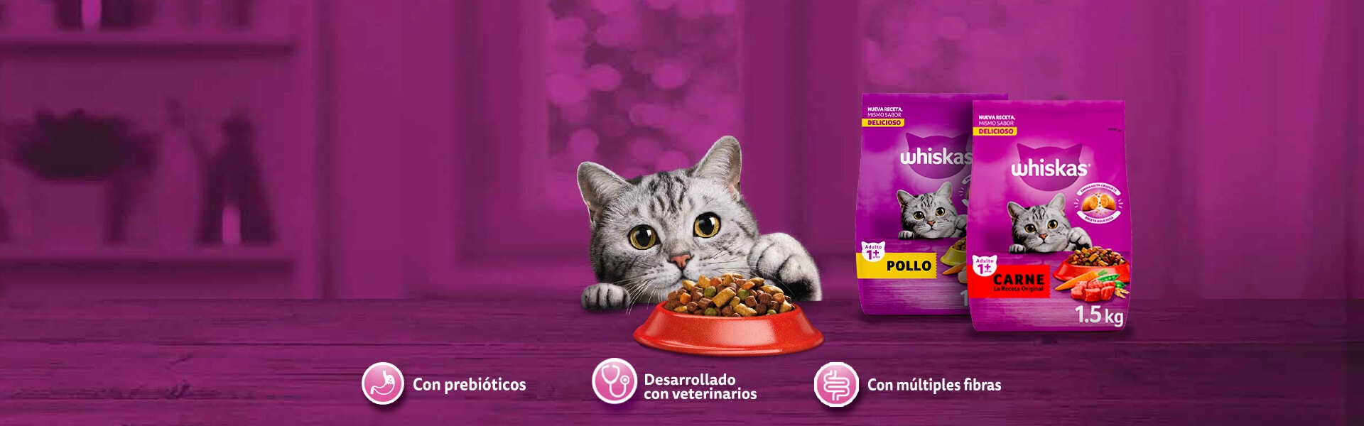 adulto banner desktop