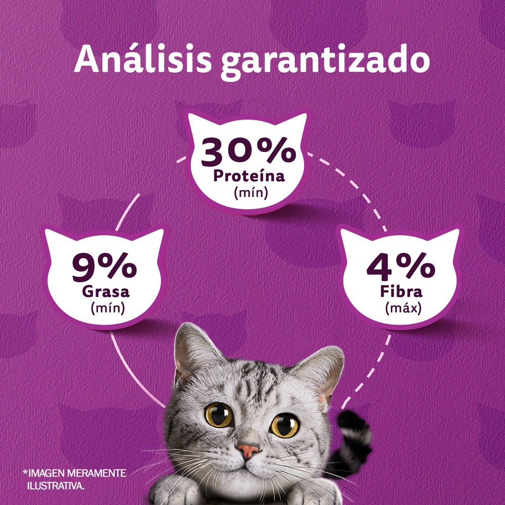 Whiskas® Alimento Seco para Gatos Pescado - 6