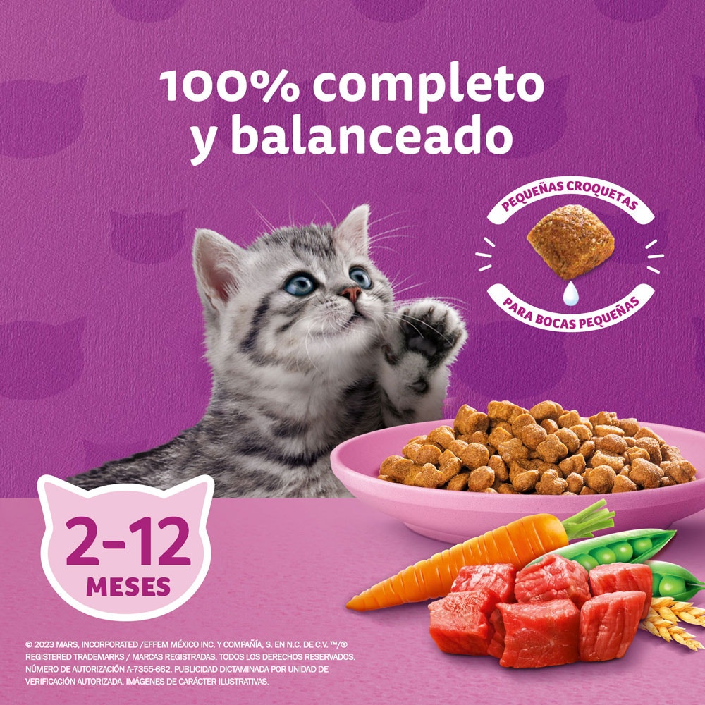 Whiskas® Alimento Seco para Gatitos Carne - 4