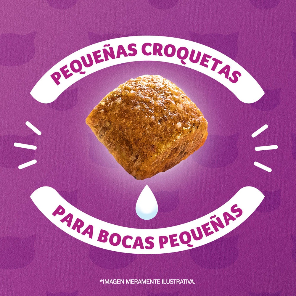 Whiskas® Alimento Seco para Gatitos Carne - 5