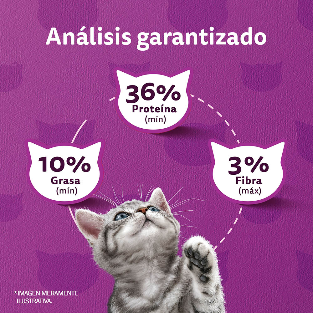 Whiskas® Alimento Seco para Gatitos Pollo - 6