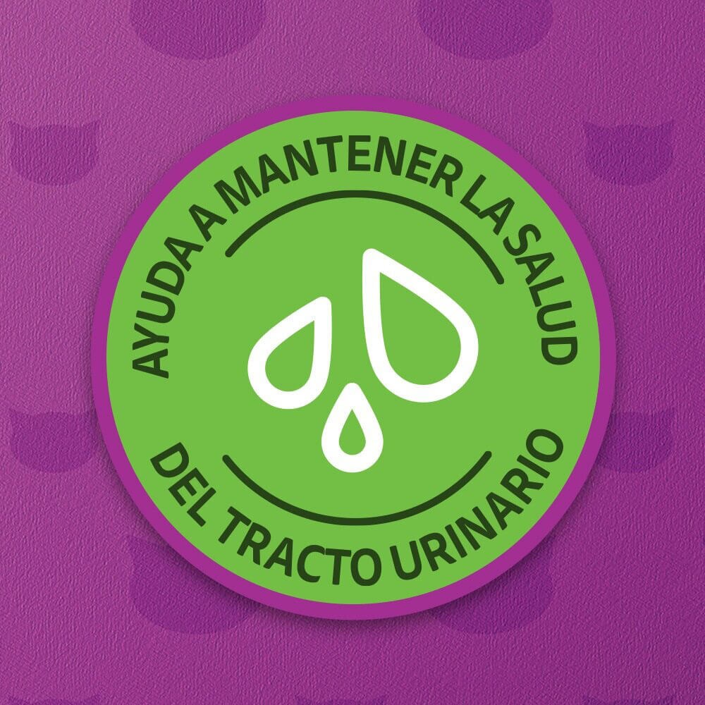 Whiskas® Alimento Húmedo para Gatos Res Paté en Lata - 2